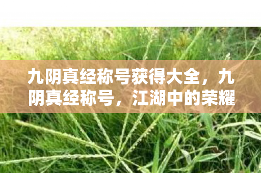 九阴真经称号获得大全，九阴真经称号，江湖中的荣耀与传奇