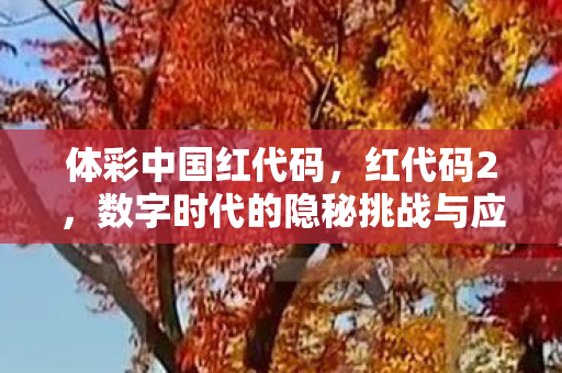 体彩中国红代码，红代码2，数字时代的隐秘挑战与应对策略
