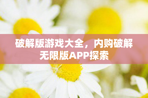 破解版游戏大全，内购破解无限版APP探索