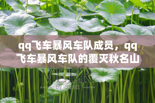 qq飞车暴风车队成员，qq飞车暴风车队的覆灭秋名山