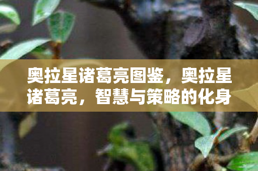 奥拉星诸葛亮图鉴，奥拉星诸葛亮，智慧与策略的化身