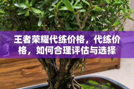 王者荣耀代练价格，代练价格，如何合理评估与选择