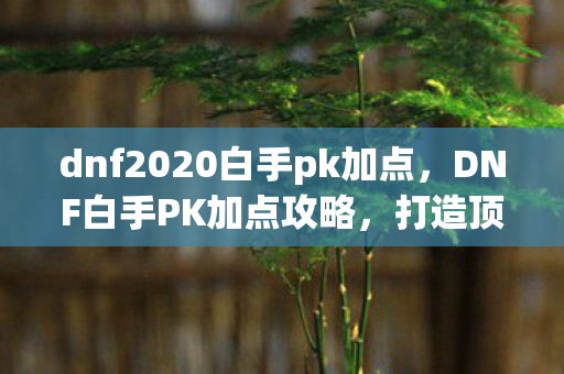 dnf2020白手pk加点，DNF白手PK加点攻略，打造顶尖战斗力的关键步骤