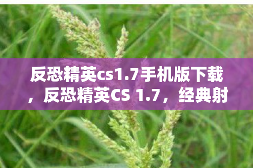 反恐精英cs1.7手机版下载，反恐精英CS 1.7，经典射击游戏的全新体验