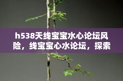 h538天线宝宝水心论坛风险，线宝宝心水论坛，探索线上娱乐的新天地