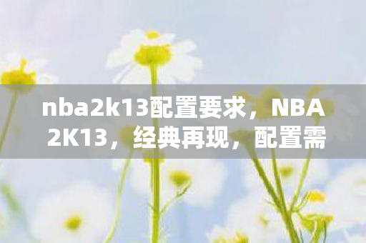 nba2k13配置要求，NBA 2K13，经典再现，配置需求解析