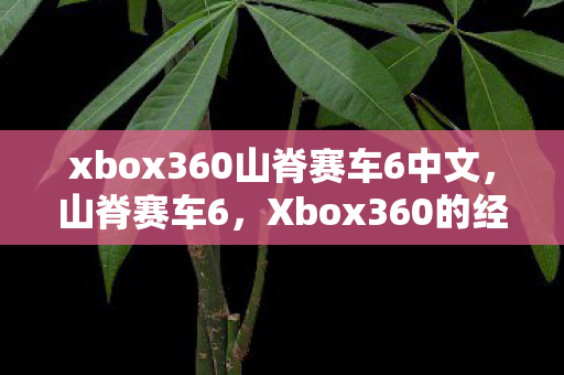 xbox360山脊赛车6中文图片