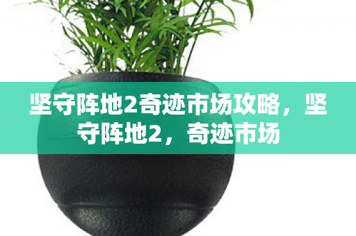 坚守阵地2奇迹市场攻略图片