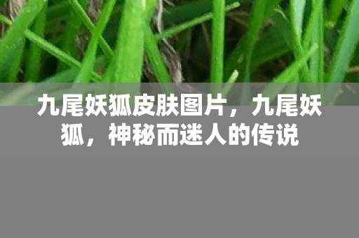 九尾妖狐皮肤图片图片