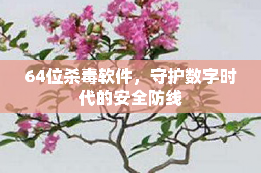 守护数字时代的安全防线图片