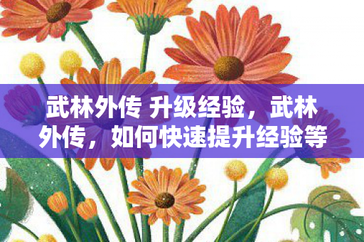 如何快速提升经验等级图片