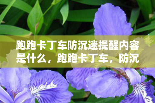 跑跑卡丁车防沉迷提醒内容是什么图片