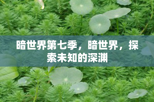 探索未知的深渊图片