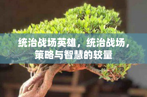 策略与智慧的较量图片