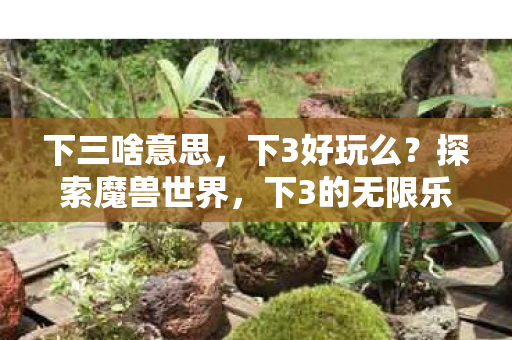 下3的无限乐趣图片