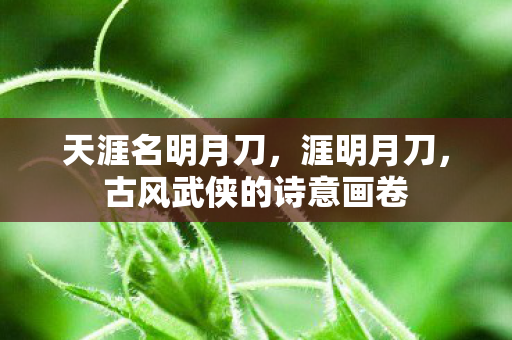 古风武侠的诗意画卷图片