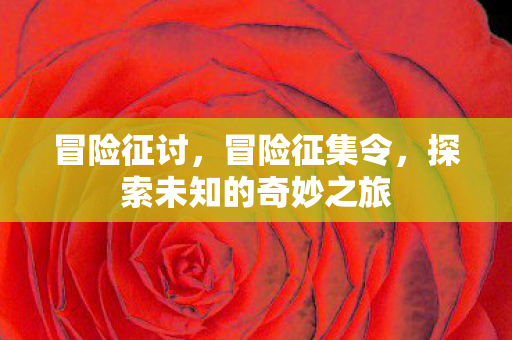 探索未知的奇妙之旅图片