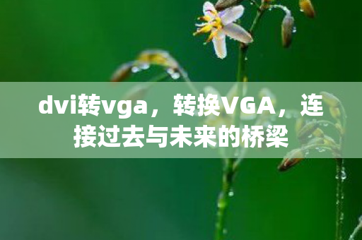 连接过去与未来的桥梁图片