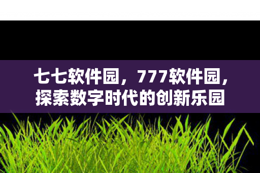 探索数字时代的创新乐园图片