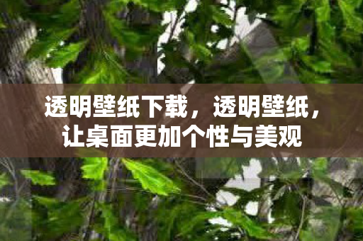 让桌面更加个性与美观图片