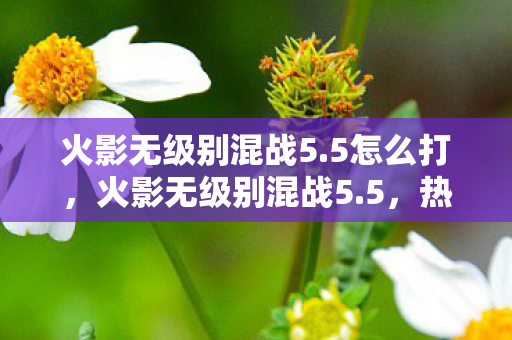 火影无级别混战5.5怎么打，火影无级别混战5.5，热血激战的新篇章