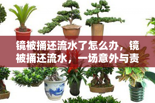 镜被捅还流水了怎么办图片