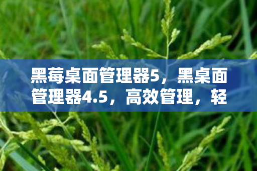 黑莓桌面管理器5图片