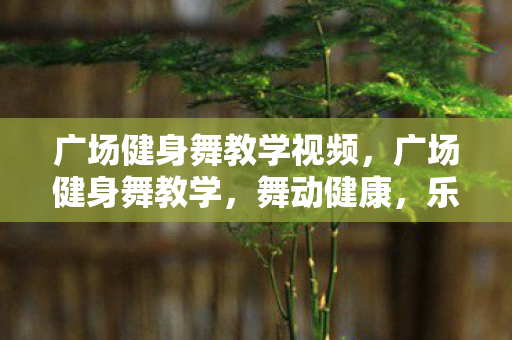 广场健身舞教学视频图片