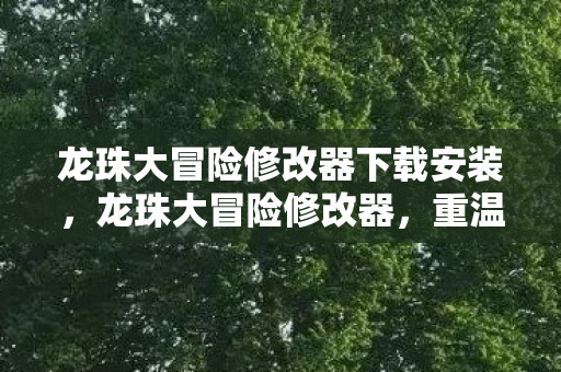 龙珠大冒险修改器下载安装图片