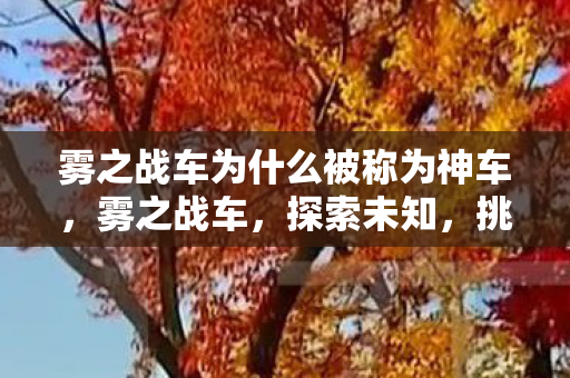 雾之战车为什么被称为神车图片