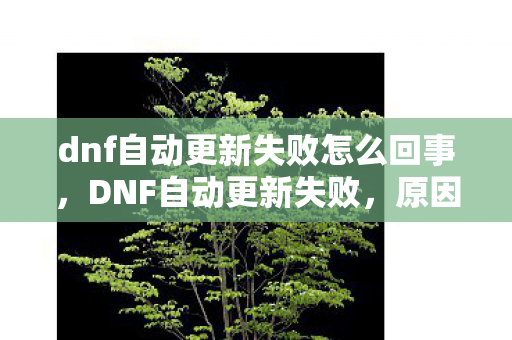 dnf自动更新失败怎么回事图片