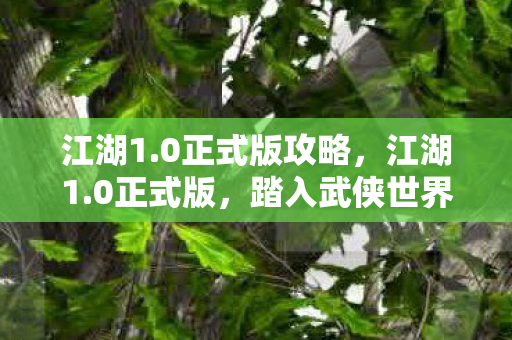 踏入武侠世界的全新启程图片
