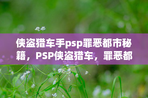侠盗猎车手psp罪恶都市秘籍图片