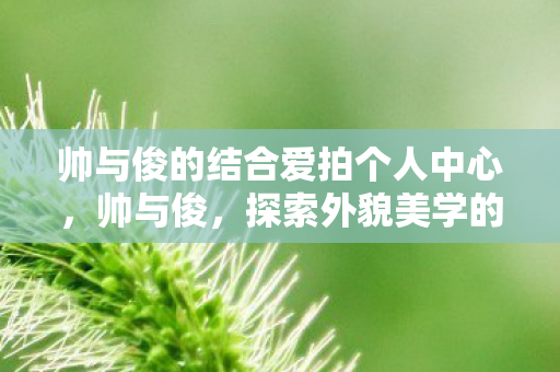 帅与俊的结合爱拍个人中心图片