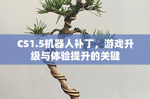 CS1.5机器人补丁，游戏升级与体验提升的关键