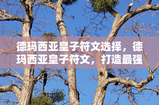 德玛西亚皇子符文选择图片