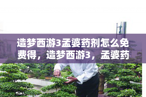 造梦西游3孟婆药剂怎么免费得图片