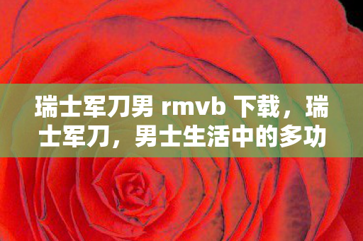 瑞士军刀男 rmvb 下载图片