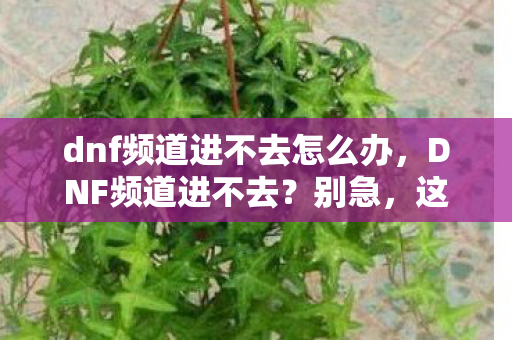 dnf频道进不去怎么办图片