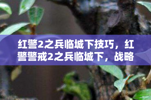 红警2之兵临城下技巧图片