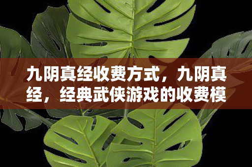 经典武侠游戏的收费模式解析图片