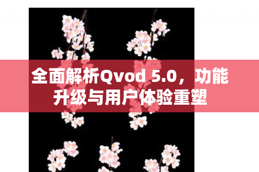 全面解析Qvod 5.0，功能升级与用户体验重塑