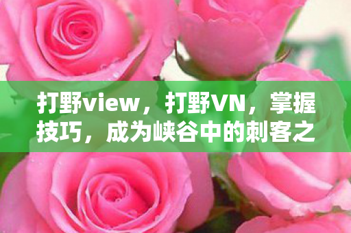 成为峡谷中的刺客之王图片