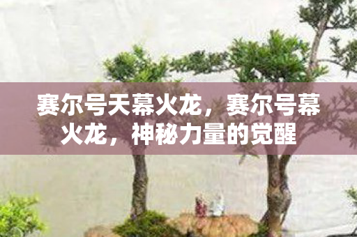 赛尔号天幕火龙图片