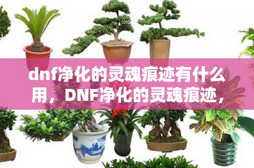 dnf净化的灵魂痕迹有什么用图片