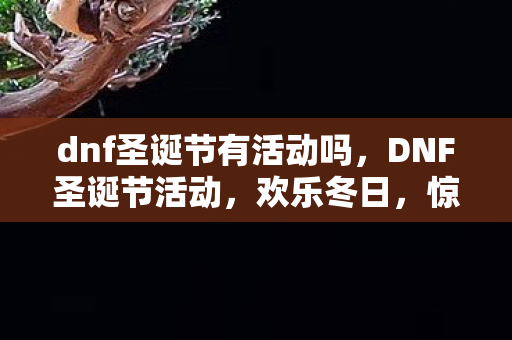 dnf圣诞节有活动吗图片