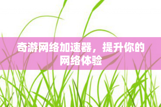 提升你的网络体验图片