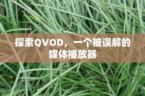 一个被误解的媒体播放器图片