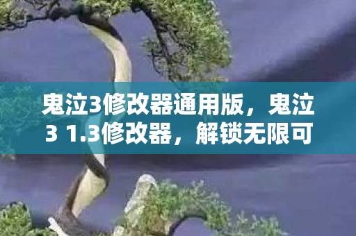 鬼泣3修改器通用版图片