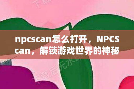 npcscan怎么打开图片